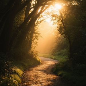 雨停在你离开之后