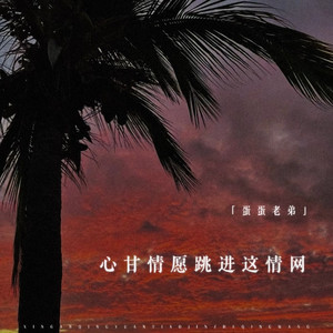 心甘情愿跳进这情网