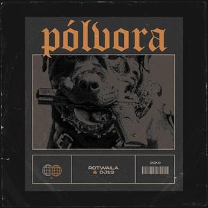 Polvora (feat. Rotwaila & DJ 13)