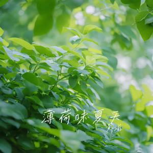 薄荷味夏天