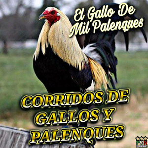 Hoy Platique Con Mi Gallo