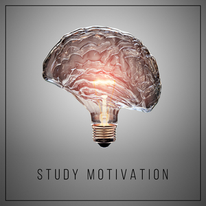 Study Better