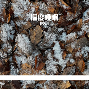 森林白噪音里的深度睡眠之旅