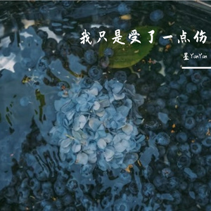 不过是受了一点伤（翻自 任盈盈）