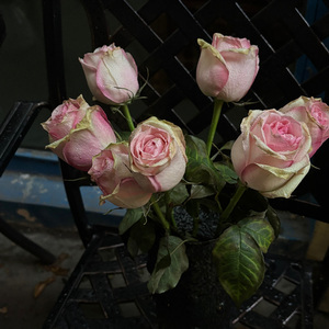 I Love You So（cover.The Walters）