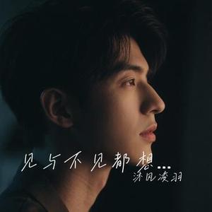 见与不见都想念