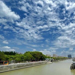 单身(Prod.by BECU BEATZ)