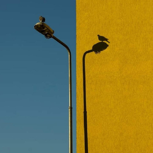 Гама (feat. Dora the Xplora)