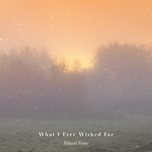 What I Ever Wished For