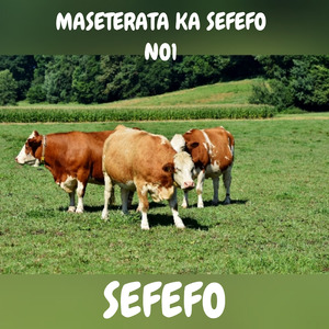 Sefefo