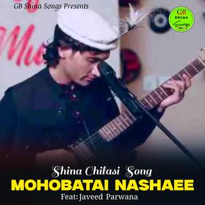 Mohobatai Nashaee (Shina Chilasi Song) (feat. Javeed Parwana)