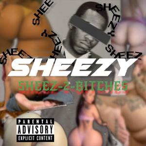 Sheez2Hoes (feat. SPR Sheezy)