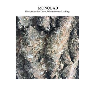 The mind spills inwards