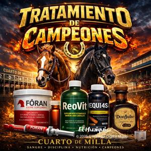 TRATAMIENTO DE CAMPEONES