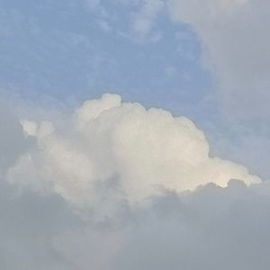 和解