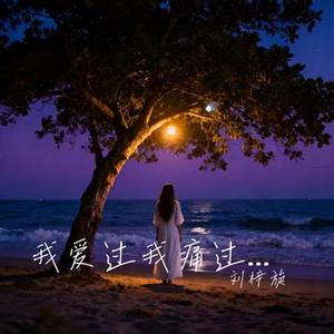 我爱过我痛过