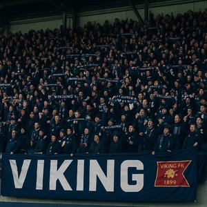 Seriegull 2025 (Viking)