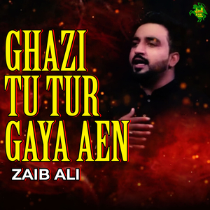 Ghazi Tu Tur Gaya Aen