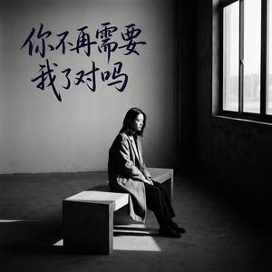 你不再需要我了对吗