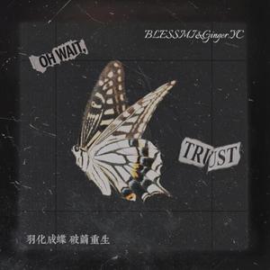 羽化成蝶（Prod By 9Zi）