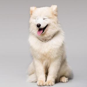 표정관리가 안돼