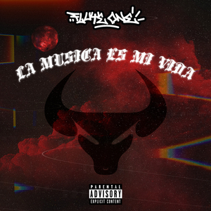 La Musica Es Mi Vida
