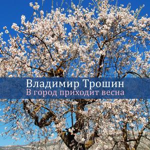 В город приходит весна