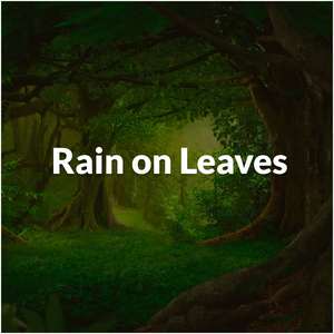Rain on Leaves (with The Nature Soundscapes)