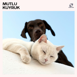 Köpekler İçin Şifalı Frekanslar