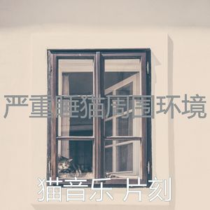 微妙的小猫心情