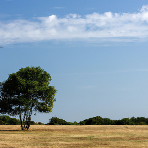 We Can't Go Back To The Way We Were