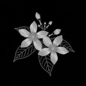 อาลัยพระเเม่เจ้า - Lament For The Queen Mother (feat. Support Lasa-ad, Laddawan Potiwong, Worawan Worachat & Kiatisak Phosiri)