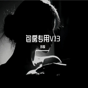 酒吧小黑瓶系列【包房舞曲】