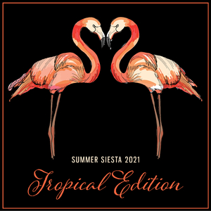 Special Summer Chill Out Mix