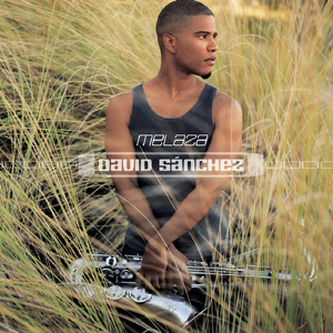 Centinela (Album Version)