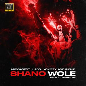 Shanawole (feat. Arewaofct, Richie money & Lado)