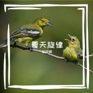 夏天旋律1