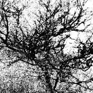 Западное побережье