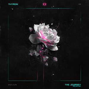 the journey (melodic mix)