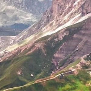 三点的海棠花未眠