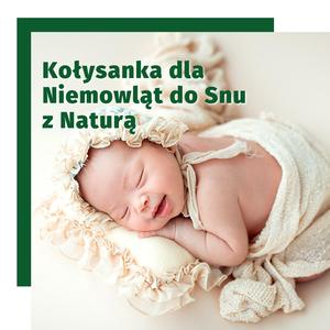 Światło Księżyca - Natura Asmr