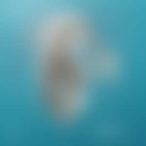 Tear it Down (Gamper & Dadoni Remix)