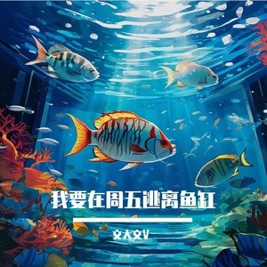 我要在周五逃离鱼缸