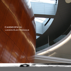 Liaison electronique