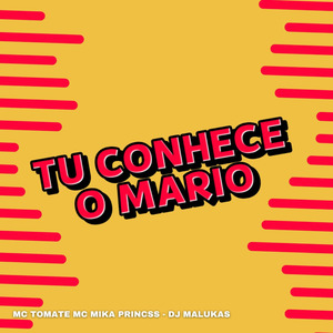 Tu Conhece o Mario