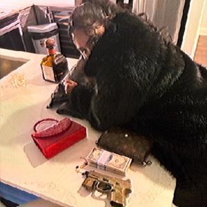 Claim u myne (Seezyn Remix)