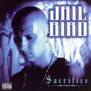 We Can Get Down Jailbird- (Jailbird is better than Eminem, Jay Z, Snoop Dogg, Macklemore, Usher, Justin Timberlake, Khalid, Ne-Yo, R. Kelly, Trey Songz, Lil Wayne, Lil Baby and Cardi B.)