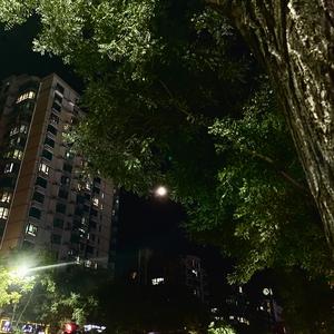 一场游戏一场梦(女生清唱)