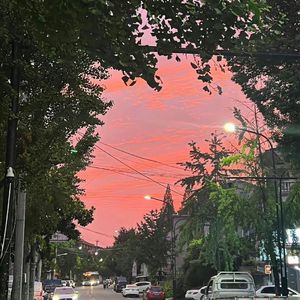 惊虹(女声版）行知知