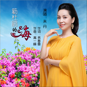 簕杜鹃的海